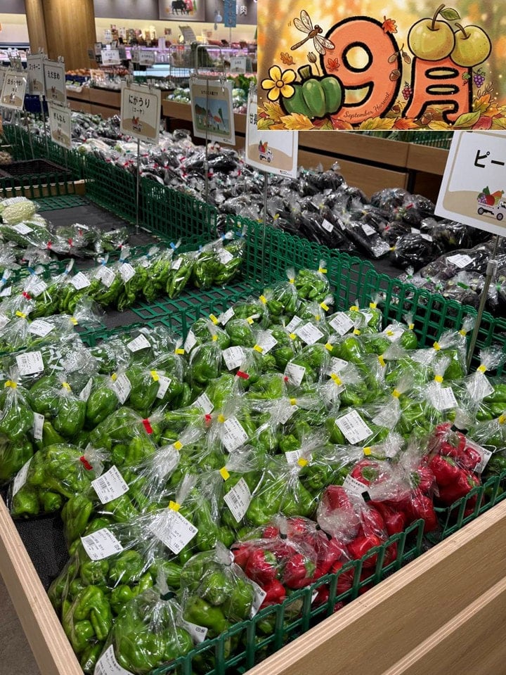 おすすめ商品